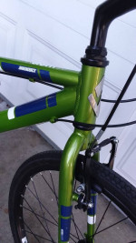 Diamondback Insight 20in  Age 6-11