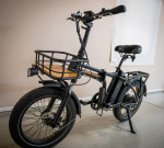 RADMINI