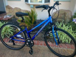 DiamondBack aluminum front-suspension comfort bike