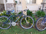 Cannondale mountain bikes m700