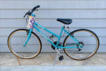 1992 Giant Rincon 16.5 Women’s Mountain Bike & Owner's Manual