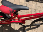 REI rev 20 kid’s bike