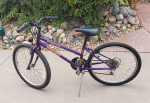 Trek MT220 Kids Mountain Bike 18 speed