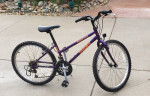 Trek MT220 Kids Mountain Bike 18 speed