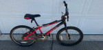 Early 2000s Redline Raid BMX