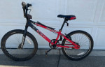 Early 2000s Redline Raid BMX