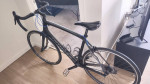 Specialized Roubaix Elite