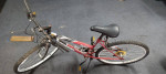 Quasar "Bounty" Bicycle