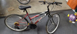 Quasar "Bounty" Bicycle