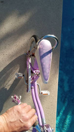 Girls Schwinn 16-in jamboree bicycle used