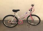 Magma Multi Sport Bike 10 speed