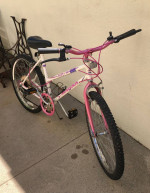 Magma Multi Sport Bike 10 speed