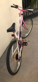 Magma Multi Sport Bike 10 speed