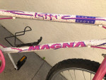 Magma Multi Sport Bike 10 speed