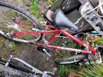 Motiv Mt bike