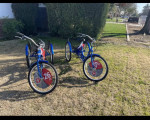Schwinn Adult Tricycle