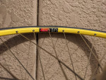 Land Shark by John Slawta; Campagnolo Record; M/L; or Offer