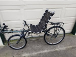 HALUZAK HORIZON RECUMBENT BIKE