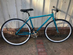 Critical -single speed fixie
