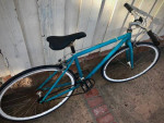 Critical -single speed fixie