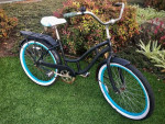Schwinn Cruiser