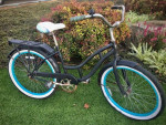 Schwinn Cruiser