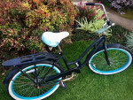 Schwinn Cruiser