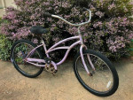 Firmstrong -urban Cruiser