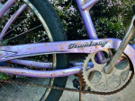 Firmstrong -urban Cruiser