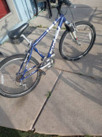 Schwinn boy