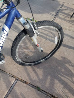 Schwinn boy