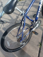 Schwinn boy