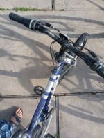 Schwinn boy