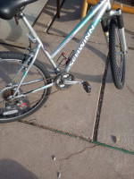 Schwinn ladies