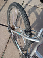 Schwinn ladies