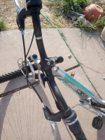 Schwinn ladies