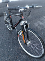 Schwinn Moab elite S *1995 anniversary edition
