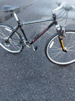 Schwinn Moab elite S *1995 anniversary edition