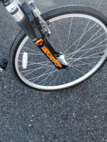 Schwinn Moab elite S *1995 anniversary edition