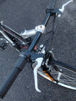 Schwinn Moab elite S *1995 anniversary edition
