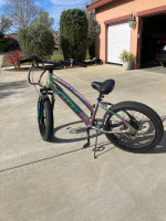 Ebike