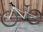 Trek bike