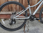 Trek bike