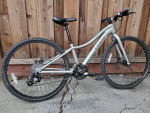 Trek bike
