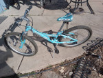 Girl trek 24 wheel