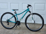 29er Trek mountain bike