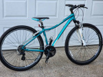 29er Trek mountain bike
