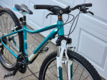 29er Trek mountain bike