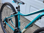 29er Trek mountain bike