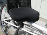 Rans V-Rex Recumbent